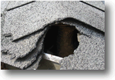 Damage to roof shingles (Access gained to the attic)